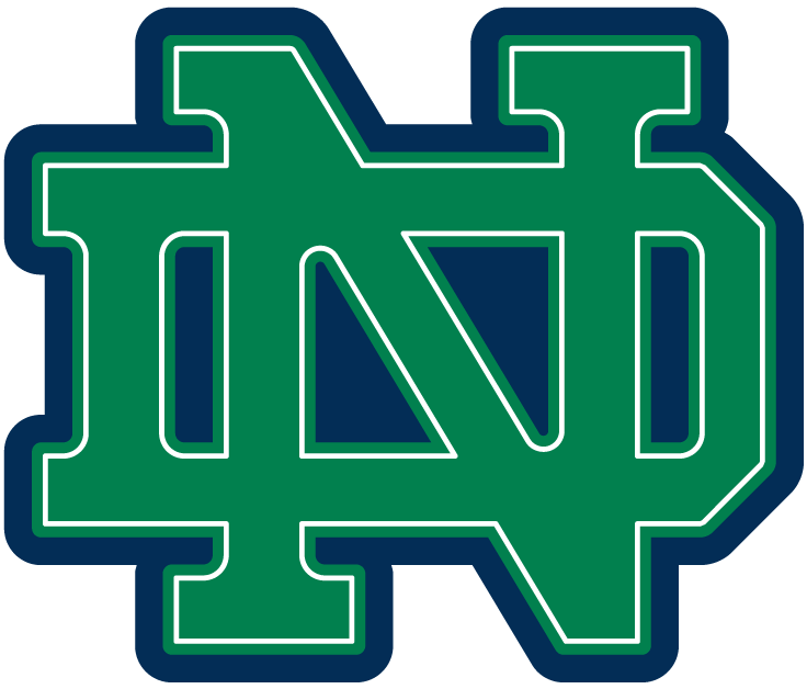 Notre Dame Fighting Irish 1994-Pres Alternate Logo t shirts DIY iron ons v4